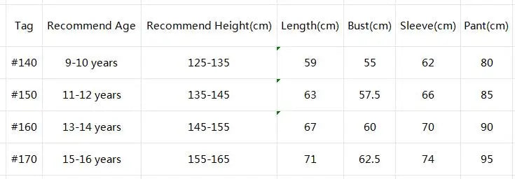 Spring Autumn School Kids 2PCS Tracksuit Boys Loose Striped Sweatshirt+Gray Sweatpant Workout Sets Child Jogger Outfits 9-16 Yr