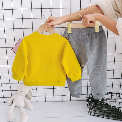 New Spring Autumn Baby Clothes Suit Kids Girls Clothing Children T-Shirt Pants 2Pcs/Set Toddler Casual Costume Infant Tracksuits