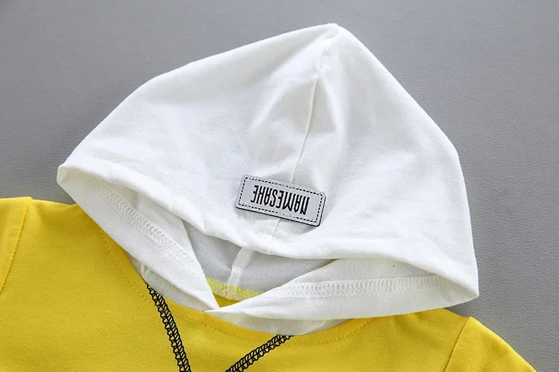 New Spring Autumn Baby Girl Clothes Kids Boys Outfits Children Hoodies Pants 2Pcs/Sets Toddler Casual Costume Infant Tracksuits