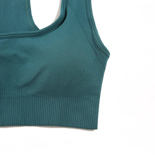 Seamless Gym Set Women Sport Suit Yoga Sets 2 Pcs Tracksuits Fitness Wear Sportswear Leggings Padded Sports Bras Workout Clothin