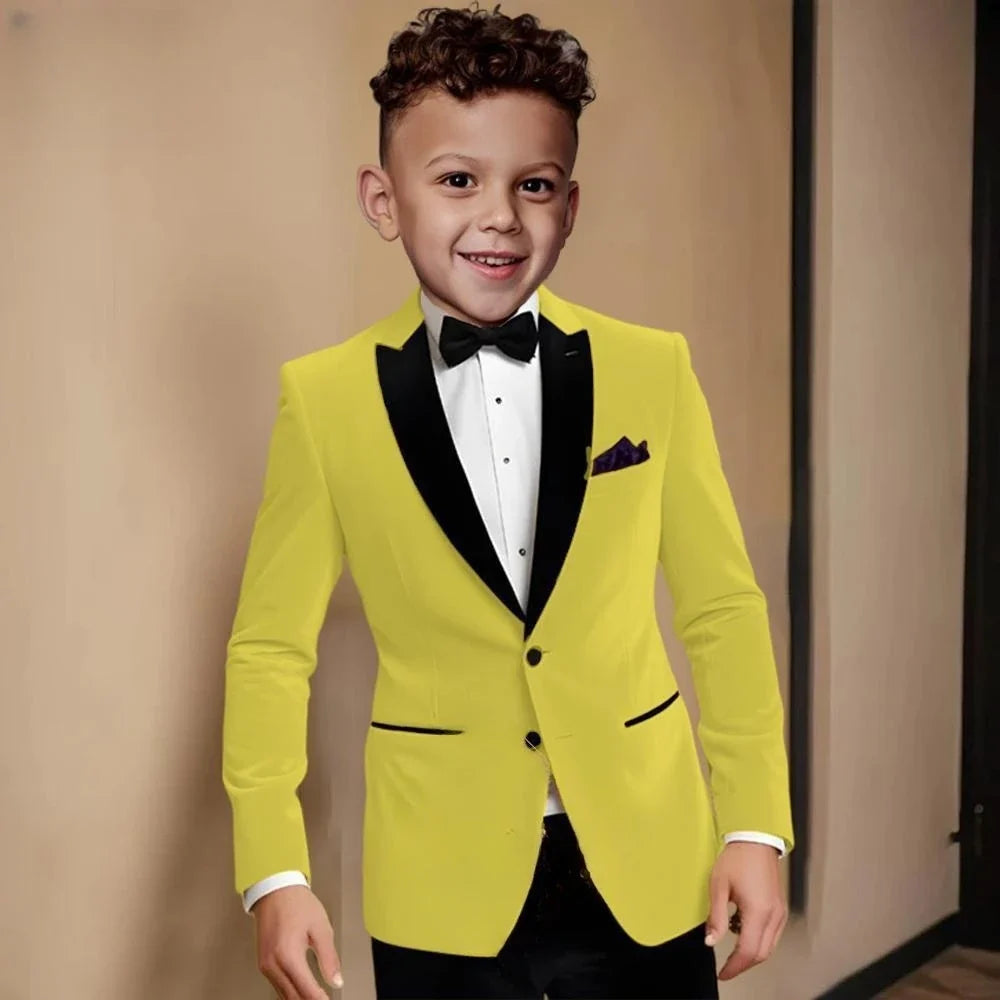 Fashionable Velvet Collar Boys Slim Fit Suits 2 Pieces Host Costumes,Elegant Formal Kids Suit Set Birthday Party Outfit 2-20T