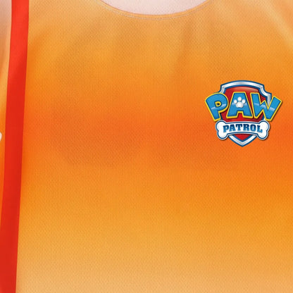 SUMMER Breathable Mesh Children Casual Outfits PAW Patrol Printed Boys Basketball Football Clothes Sets T Shirt Shorts 2pcs New