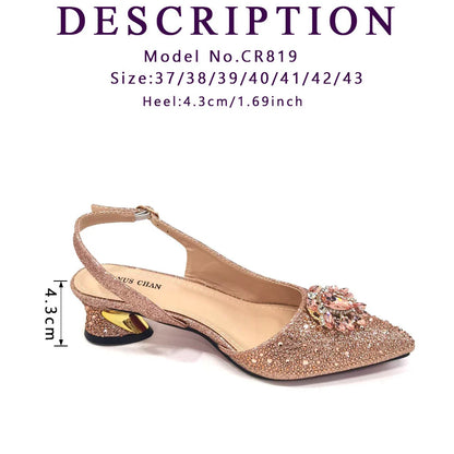 Royal Blue Sandals for Women 2024 Luxury Wedding Pumps Med Heels Rhinestone Design Party Shoes and Bags Set