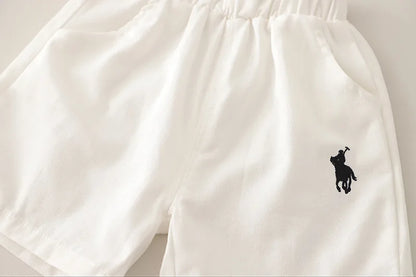 New Summer Fashion Baby Boys Clothes Suit Children Classic Polo T-Shirt Shorts 2Pcs/Set Toddler Clothing Costume Kids Tracksuits