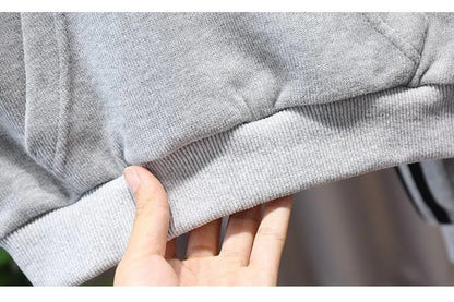 Spring Autumn Baby and Boys Half Zip Workout Sweatshirt+Sweatpant Set School Kids 2PCS Tracksuit Child Jogger Outfit 1-10Yr
