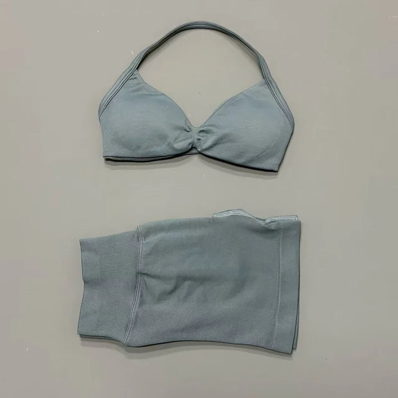 2 Piece Yoga Sets Women  Low Waist Seamless Push Up Bra Scrunch Butt Lift No Digging Comfortable Gym Running Tracksuits