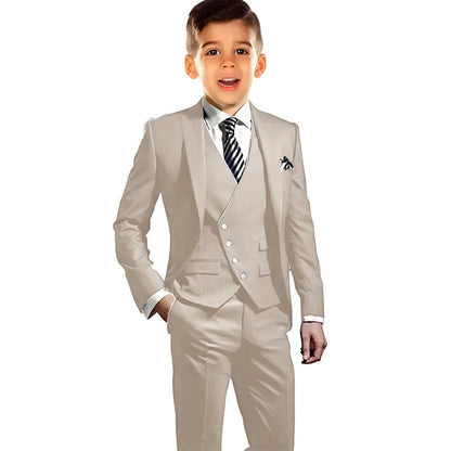Boys Elegant Peak Lapel Suit Set 3 Pieces Birthday Party Outfit,Autumn Long Sleeve Tuxedo Wedding Guest Clothes,Plus Size Suits