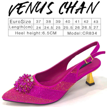 Italian Shoes and Bags Matching Set 2024 Silver Color Rhinestone Fashion High Heels for Women Pointed Toe Pumps