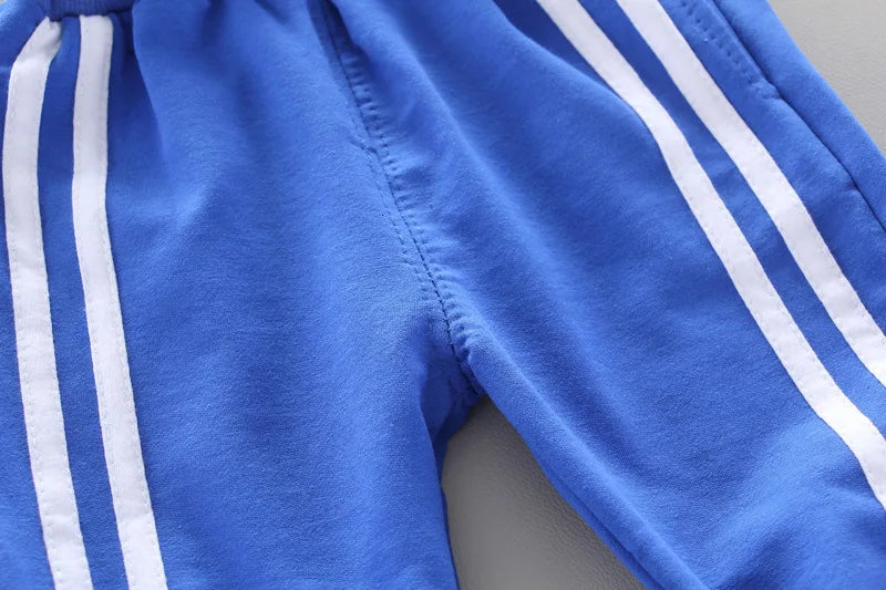 New Spring Autumn Baby Boys Clothes Children Girls Sports Hooded Jacket Pants 2Pcs/Sets Toddler Casual Costume Kids Tracksuits