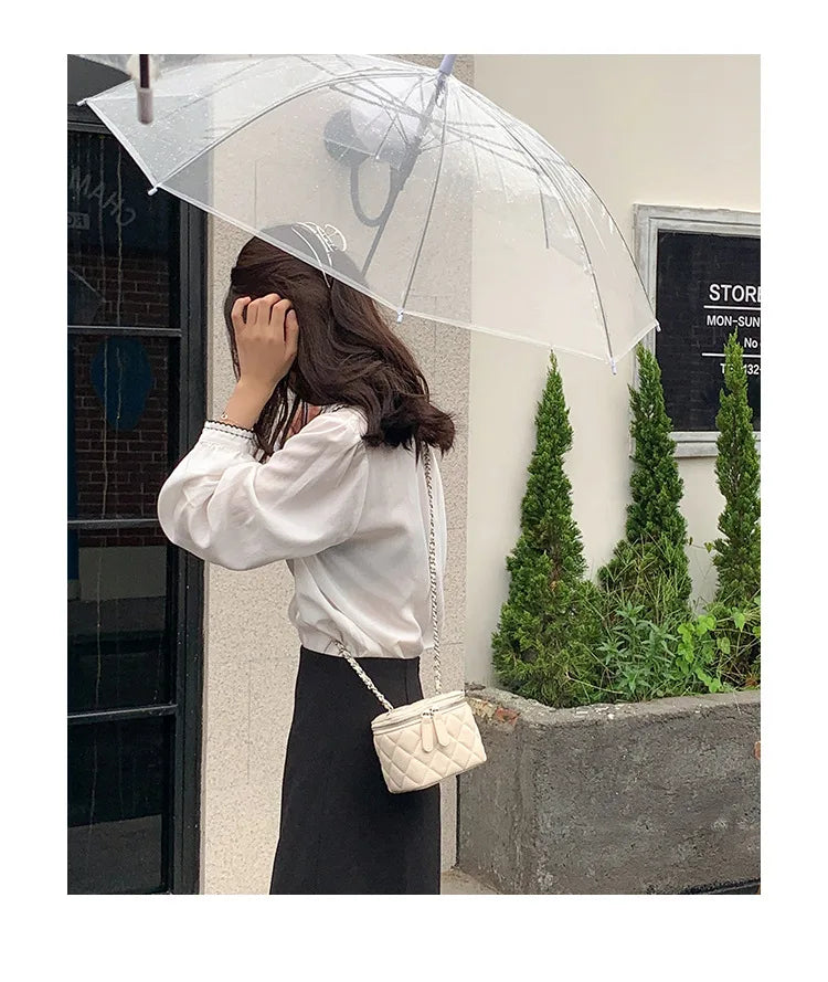 Mini Lingge Shoulder Bag Luxury Designer Bags for Women 2023 Fashion Chains Crossbody Bag Box Handbags Lipstick Coins Purses New