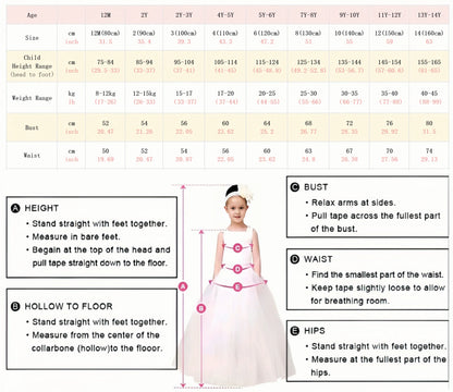 J410 Lovely Floral Pink Girl Dress Puff Sleeves for Kids Princess Holiday Birthday Party Ball Gown