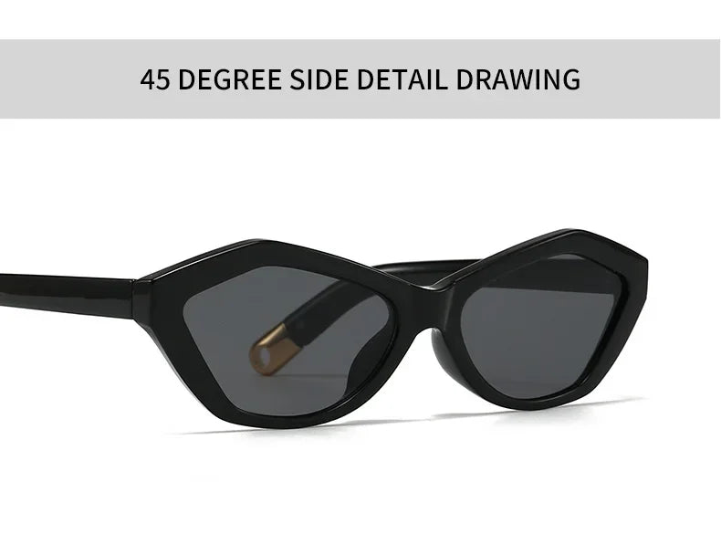 Fashion UV400 Cat Eye Sunglasses for Women Outdoor Stylish Retro Eyewear with Unique Temple Design Sun Glasses Gafas De Sol